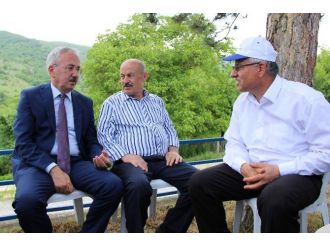Orman Ürünleri İhracatında Hedef 15 Milyar Dolar