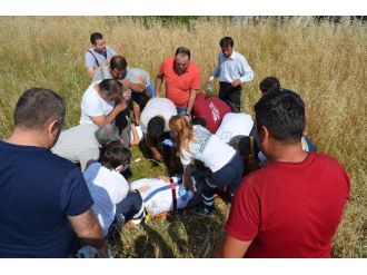 Muğla’da Trafik Kazası: 1 Ölü, 5 Yaralı