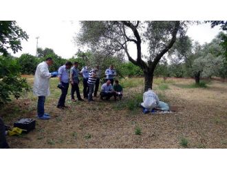 Aydın’da Cezaevinden İzinli Çıkan Şahıs İntihar Etti