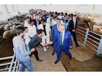 Tarsus’a Modern Canlı Hayvan Ticaret Merkezi