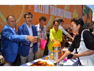 Tanıtım Çalışmaları İle Portakal Üretimi 60 Bin Tona Yükseldi
