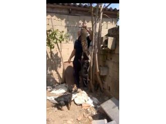 Hayvanseverler Kırklareli’deki Kedi Katiline Eskişehir İle Emsal Dava İstiyor