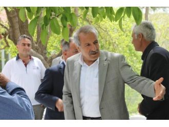 Şahin, Kuluncak’ta