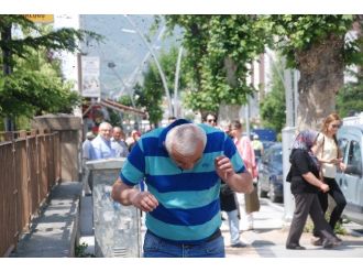 Kovandan Kaçıp Şehre İnen Arılar Vatandaşlara Zor Anlar Yaşattı