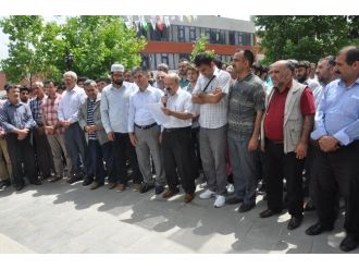 Mursi’nin İdamına Kararı Kahta’da Protesto Edildi