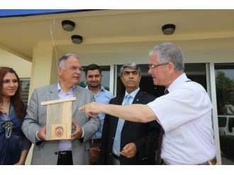 Selçuk’ta ’Yuvasız Kuş Kalmasın’ Projesine Destek