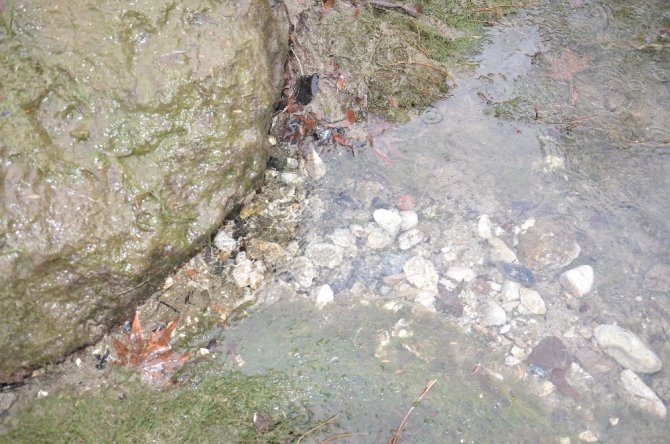 Ceyhan Nehri'nde tekrar su kaynamaya başladı