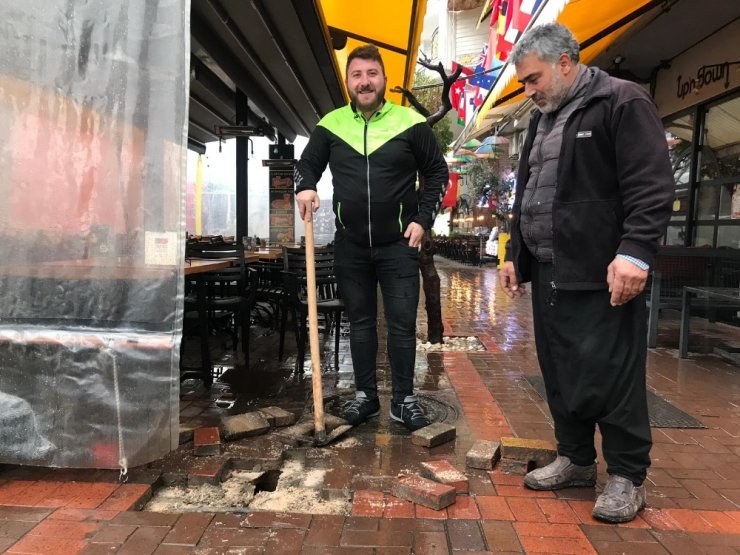 Fareler Antalyalıları kızdırdı