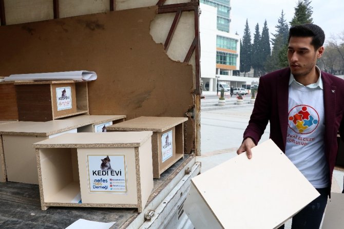 Kahramanmaraşlı gençler yaptıkları proje ile kedileri ısıttı