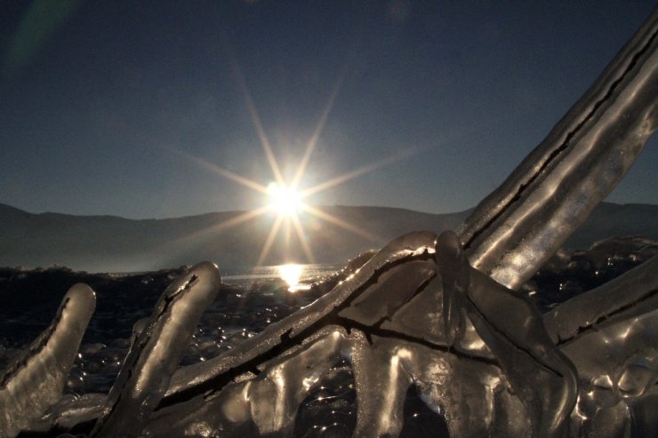 Eksi 23 derece de hayat