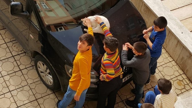 Yerde yatan kedinin altına üşümesin diye montunu serdi