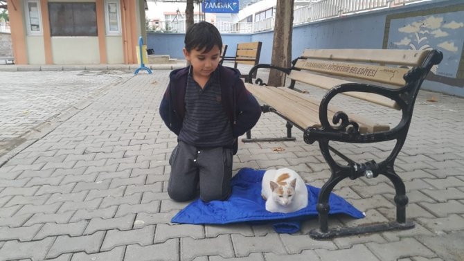 Yerde yatan kedinin altına üşümesin diye montunu serdi