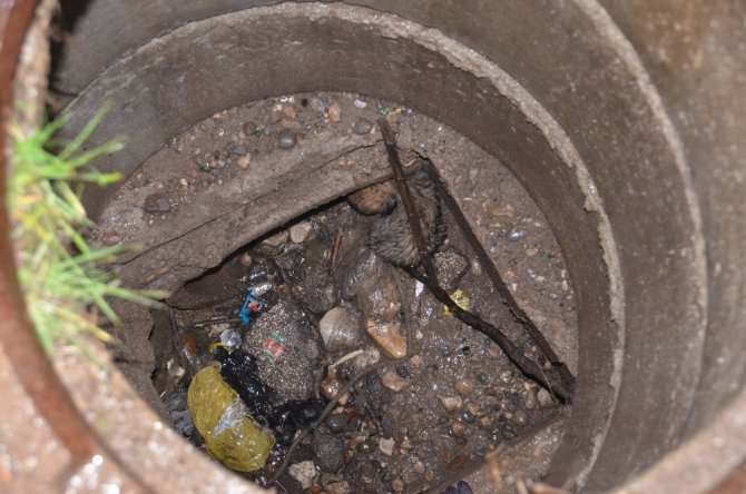 Kanalizasyon çukuruna düşen köpeğe merhamet eli değdi