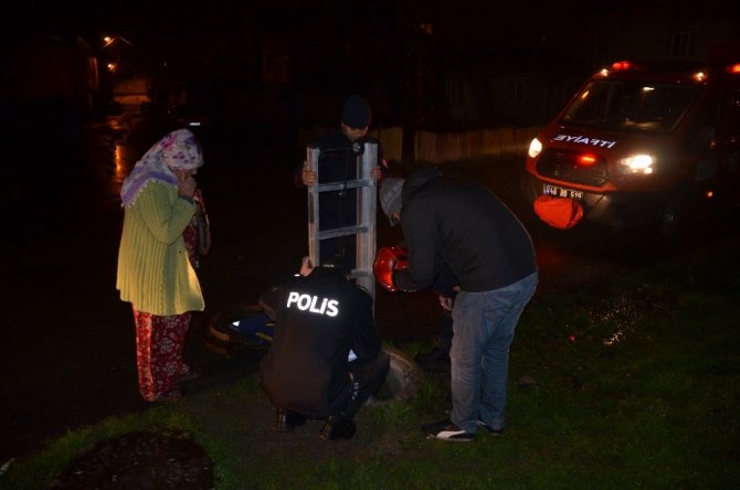 Kanalizasyon çukuruna düşen köpeğe merhamet eli değdi