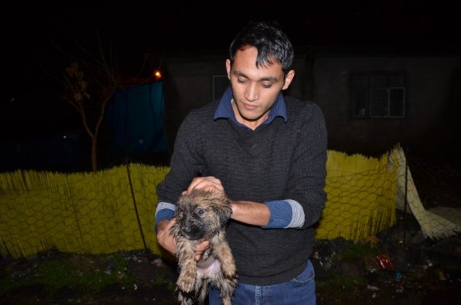 Kanalizasyon çukuruna düşen köpeğe merhamet eli değdi