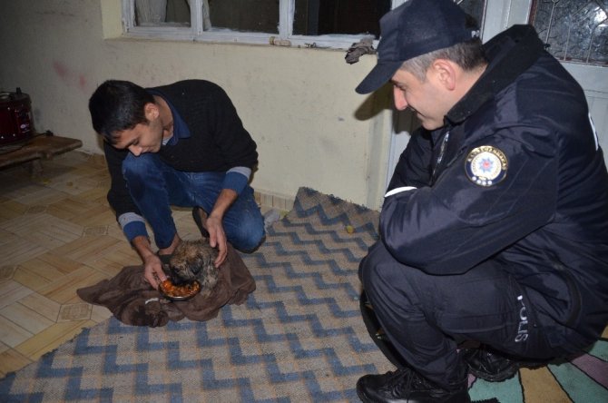 Kanalizasyon çukuruna düşen köpeğe merhamet eli değdi