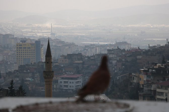 Güvercinleri onun her şeyi! Gözü gibi bakıyor