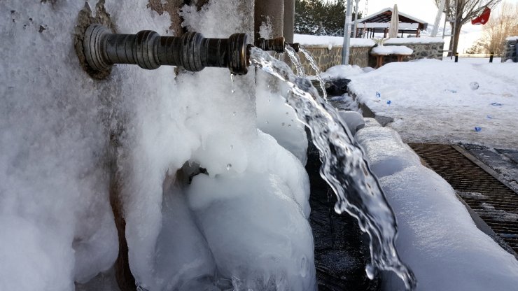Türkiye'nin doğusunda hayat dondu