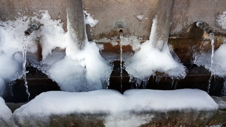Türkiye'nin doğusunda hayat dondu