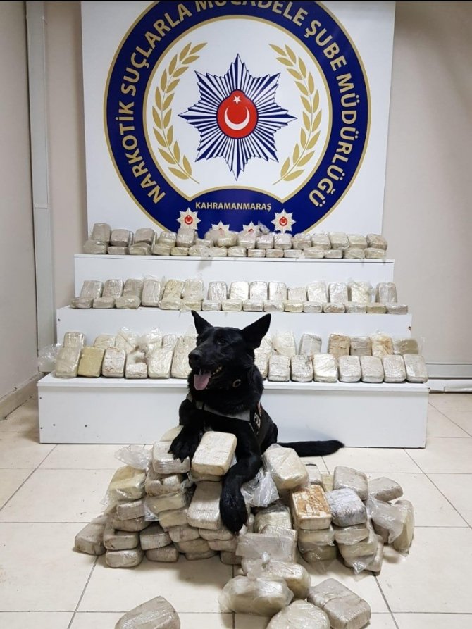 Oto kurtarıcıdan çıktı! Kilo kilo!