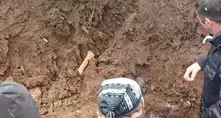 Palu Ailesi soruşturmasında flaş gelişme