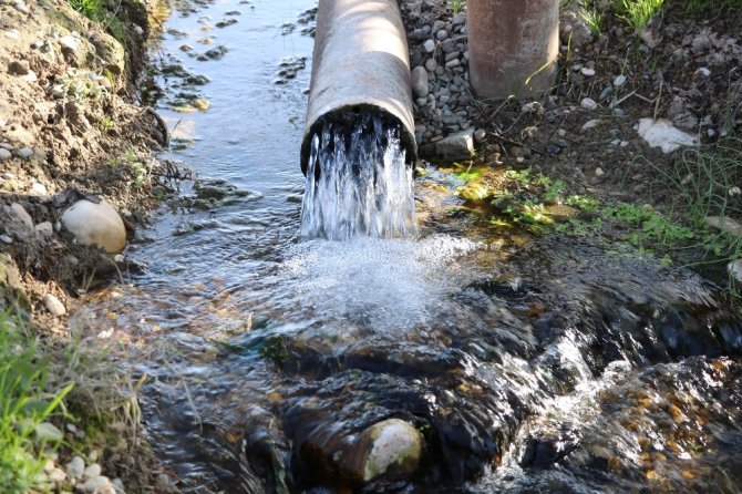Bolluk ve rahmet çiftçimizin yüzünü güldürüyor