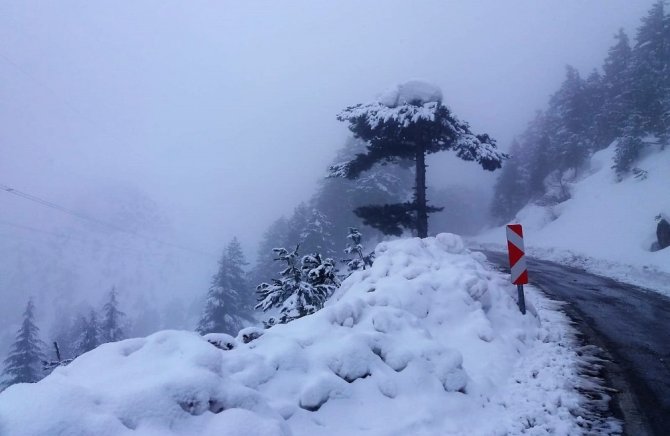 Kar yağışı nedeniyle 24 köye ulaşılmıyor