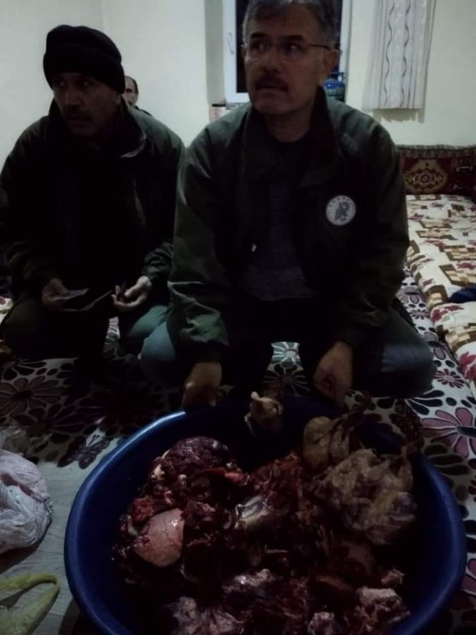 100 yıl sonra ilk kez görülen yaban keçisini avladılar!