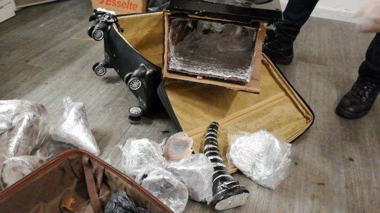 Atatürk Havalimanı’nda gergedan boynuzu operasyonu