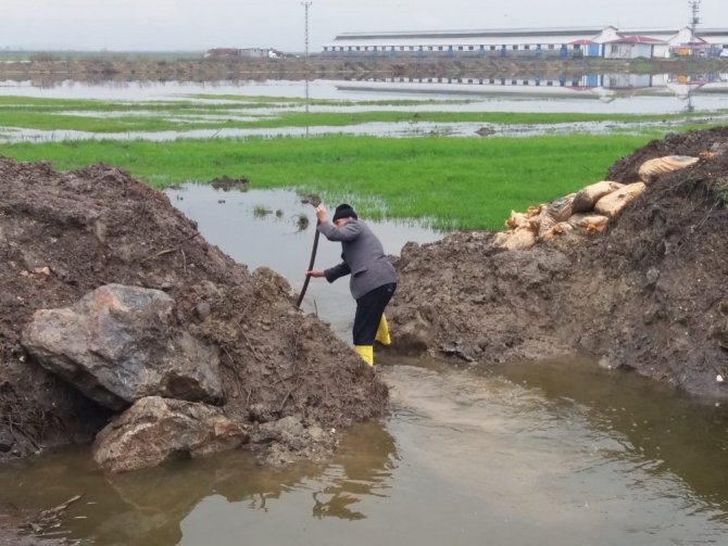 Türkoğlu ilçesindeki Gavur Gölü taştı araziler sular altında kaldı