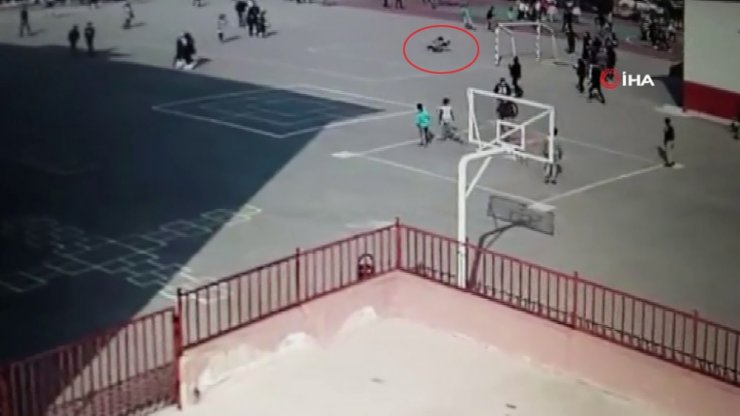 Pitbull 2 öğrenciyi yaraladı