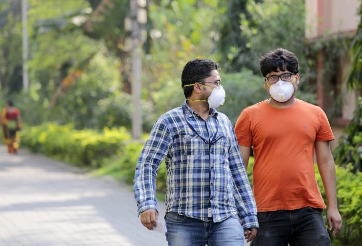 Domuz gribinden ölenlerin sayısı 530’a yükseldi