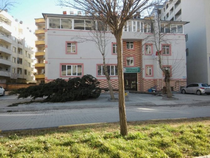 Fırtına ağaçları devirdi çatıları uçurdu