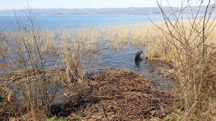 Gölden bir kamyon çöp çıkarıldı