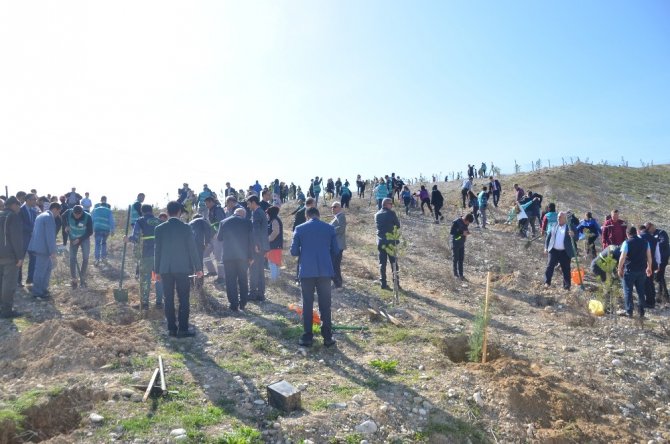 Kahramanmaraş’ta Adalet Ormanı kuruldu