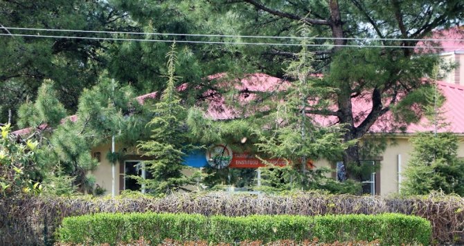 Kahramanmaraş’ta kelebek göçü renkli görüntülere sahne oldu