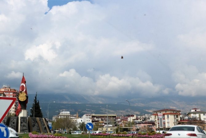 Kahramanmaraş’ta kelebek göçü renkli görüntülere sahne oldu