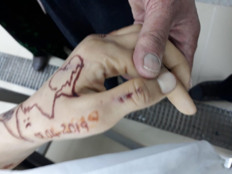 Mavi Balina dehşeti toplu intihara götürüyordu