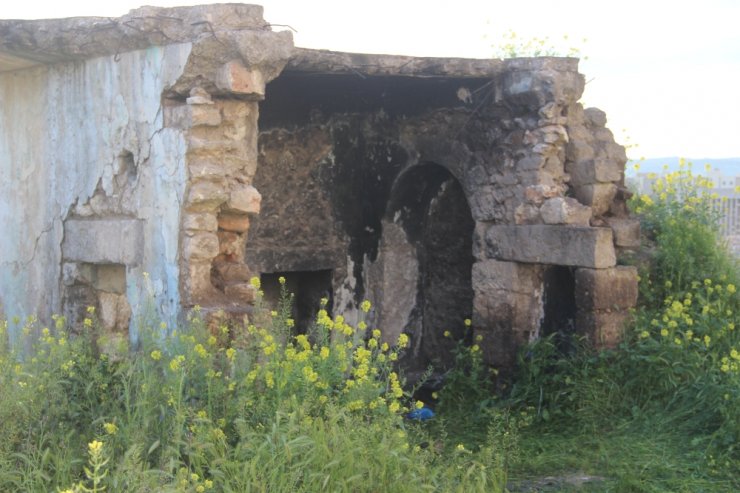 Bu kelimenin tek anlamıyla vahşet