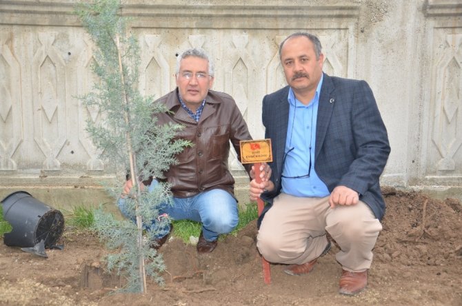 Elbistan' da her şehit için bir fidanı toprakla buluşturdular