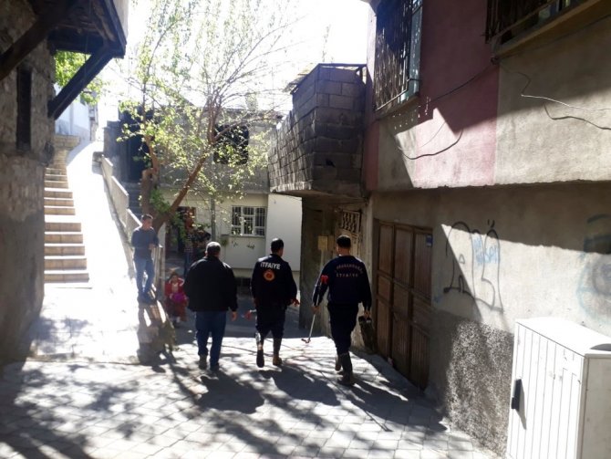 Kahramanmaraş'ta kış uykusundan uyanan yılan paniğe neden oldu