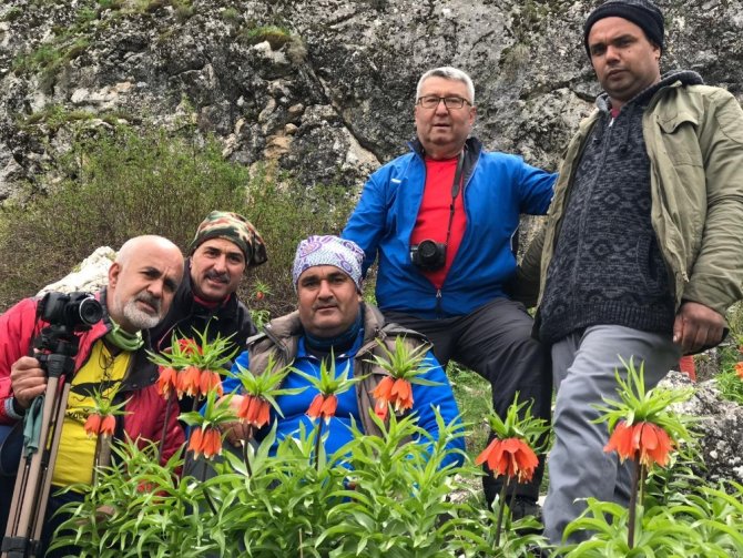 Kahramanmaraş'ta ters laleler çiçek açtı