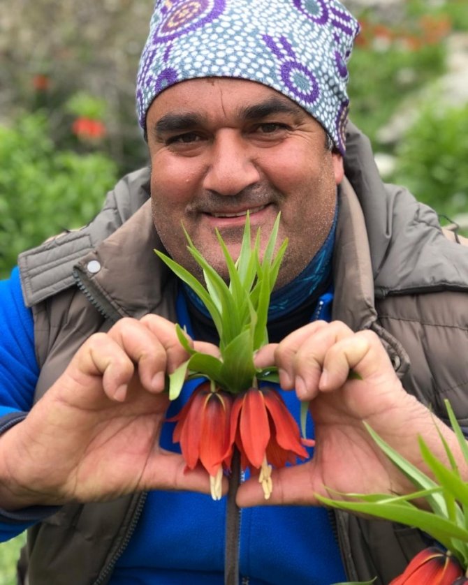 Kahramanmaraş'ta ters laleler çiçek açtı