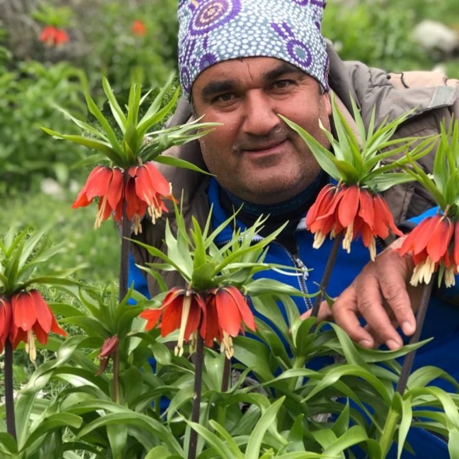 Kahramanmaraş'ta ters laleler çiçek açtı