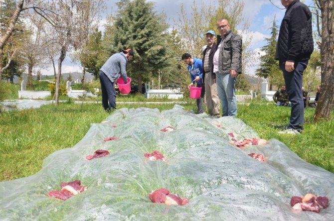 Göksun'da 150 yıllık hayrat kurbanı geleneği sürüyor