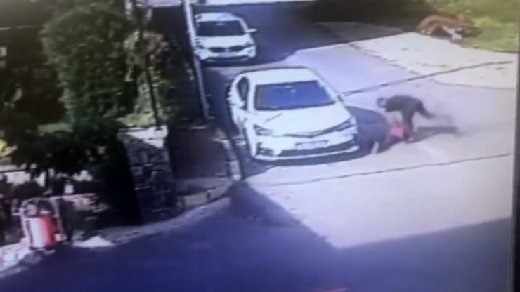 Maganda küçük çocuğu öldüresiye dövdü