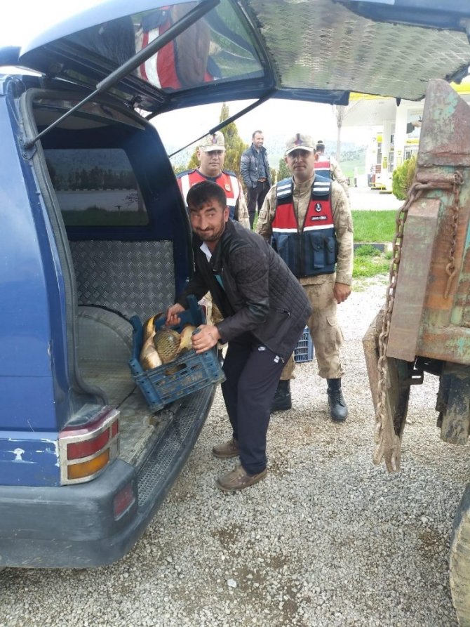 Yasa dışı balık sevkiyatına bin 635 TL ceza