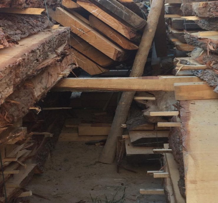 Üzerine kereste devrilen çocuk hayatını kaybetti