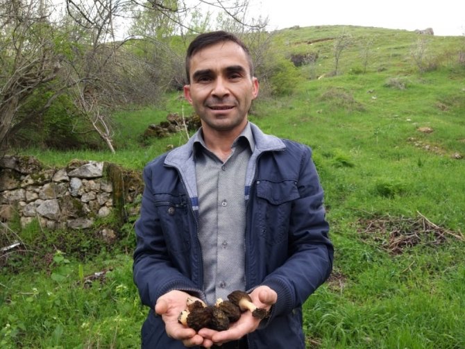 Kahramanmaraş'ta bulundu, fiyatı cep yakıyor