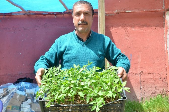 Elbistan'da sebze fidesine talep arttı